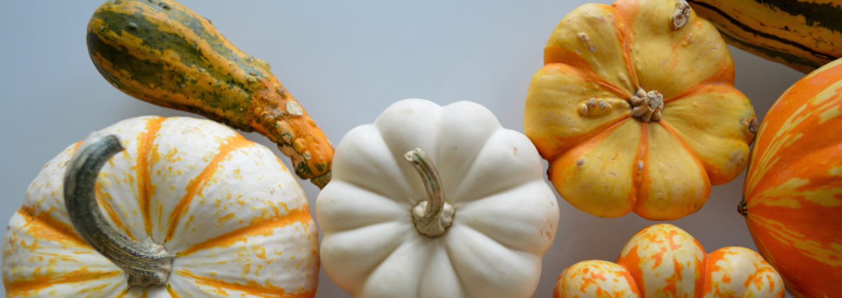 visore-cosa-mangiare-autunno-desk