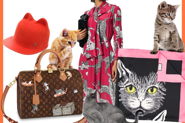 Cat lovers only: il trend dell’autunno, indossare gattini!