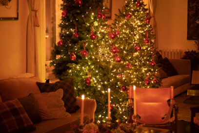 Mango-Intimate-Dinner