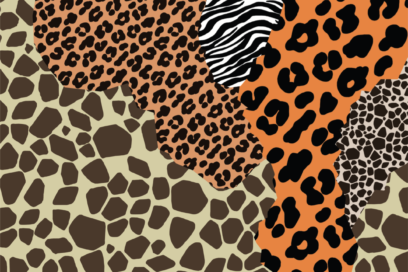 Schermata 2018-11-30 alle 06.53.57