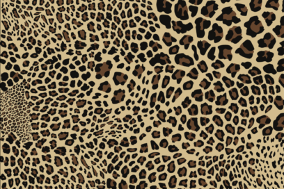 Schermata 2018-11-30 alle 06.54.15