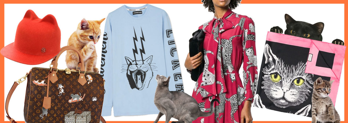 cover-trend-cats-desktop