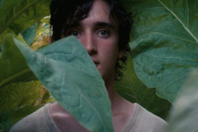 lazzaro felice