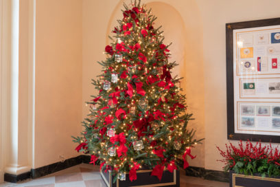 31123292707_c896cd9dce_k