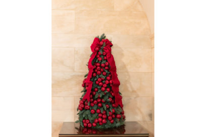 32190767508_2d42762c37_k