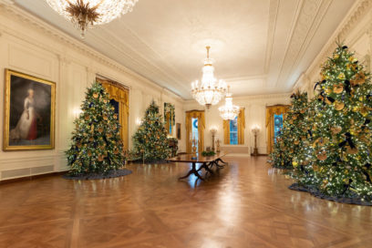 46062087801_4070d7d527_k