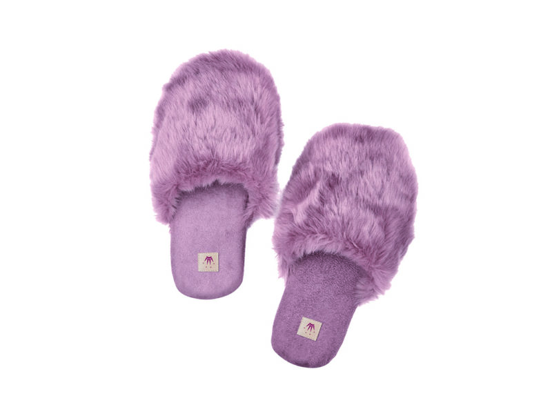 House Slipper