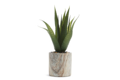 Primark-Homeware_Large-Marble-Plant,-$8,-€7,-WK-122019