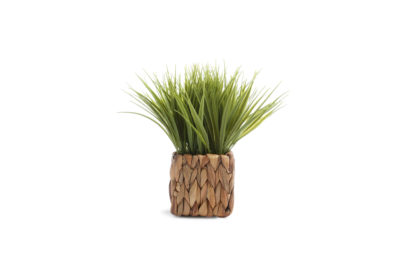 Primark-Homeware_Med-Wicker-Faux-Plant,-$8,-€7,-WK-16-2019