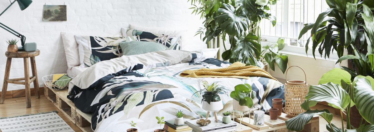 cover-primark-botanical-collection-desktop