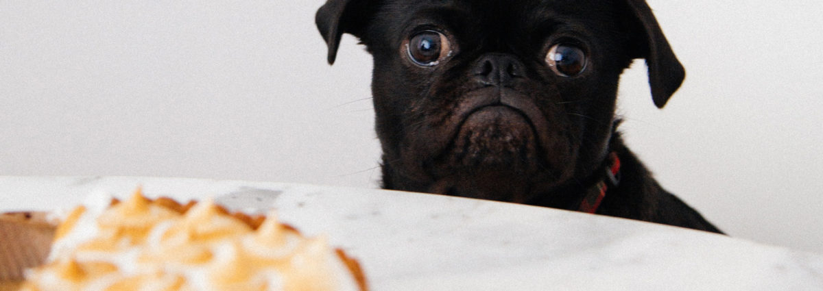 detox dopo le feste dieta