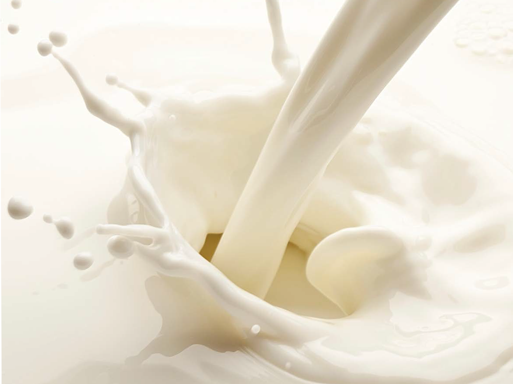 milk_shake-ingredienti