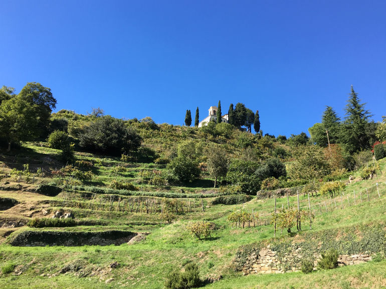 MOntevecchia