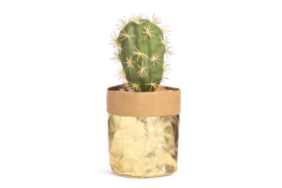 Primark-Home_GOLD-FOIL-CACTUS-PLANT,-€6