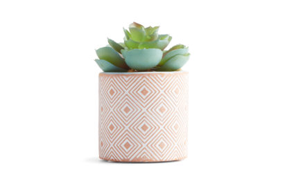 Primark-Home_Small-Terracotta-Plant,-$5,-€4-(2)