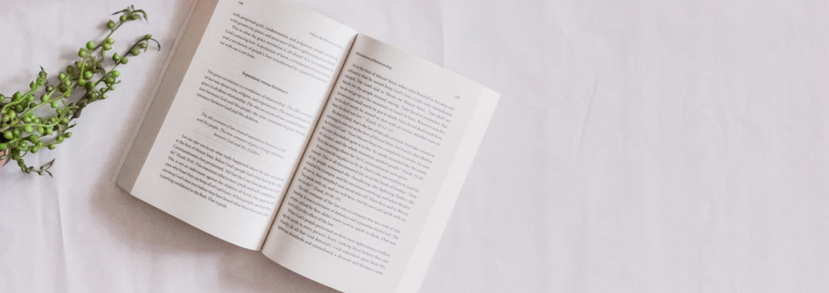 visore-libri-primavera-desk