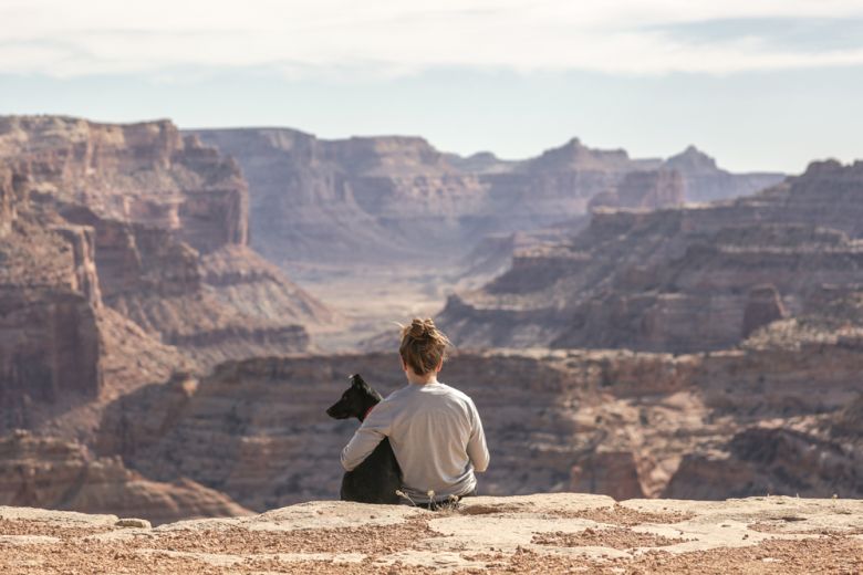 Ogni animale apporta benefici diversi all’uomo: sapete qual è il vostro?