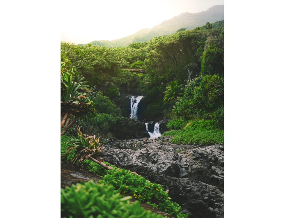 01-giungla-foresta-cascata
