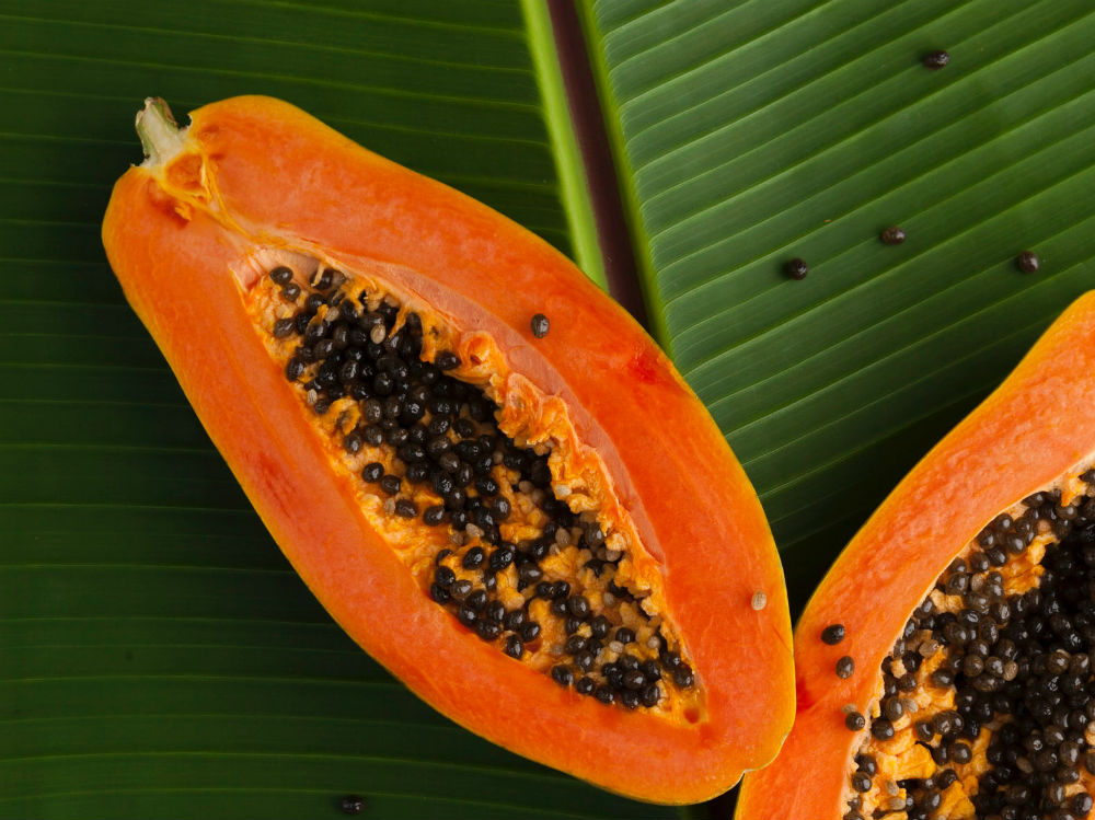 papaya 3