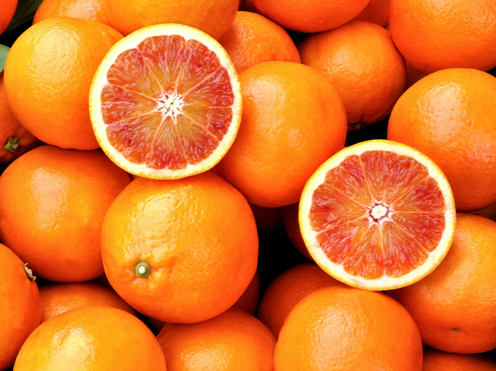 shutterstock_126327326OK