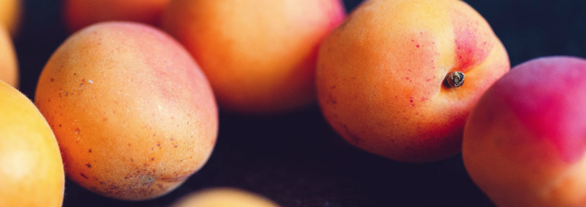 albicocche frutto desktop