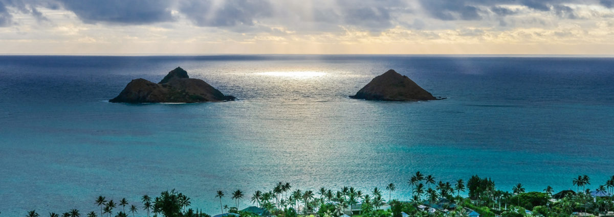 DESKTOP_profumi_isole