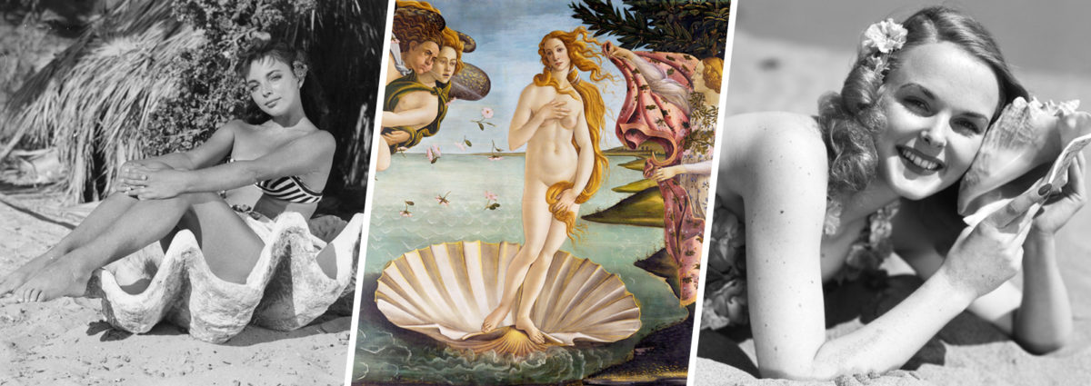 DESKTOP_accessori_conchiglie