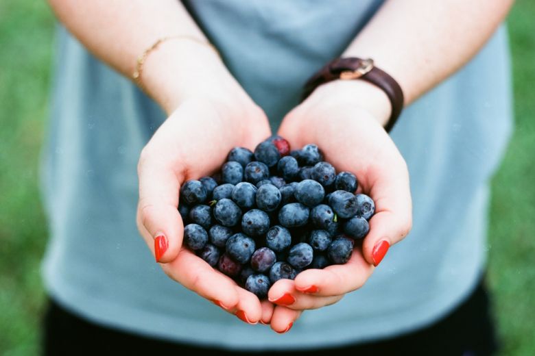 La dieta Sense: come dimagrire con la teoria delle “quattro manciate”