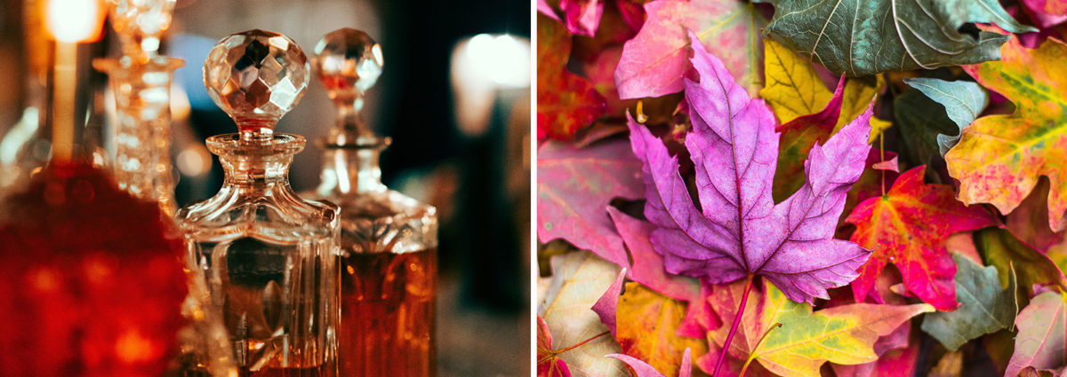 profumi-femminili-autunno-2019-desktop