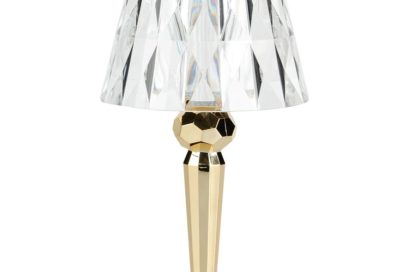 5. FERRUCCIO LAVIANI