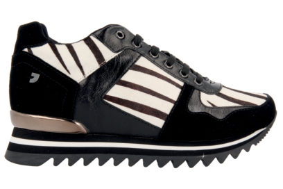 56908@CEBRA_2d_0001-copia