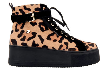 56941@BEIG_2d_0001-copia