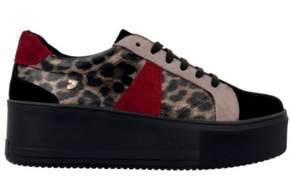 56955@LEOPARDO_2d_0001-copia