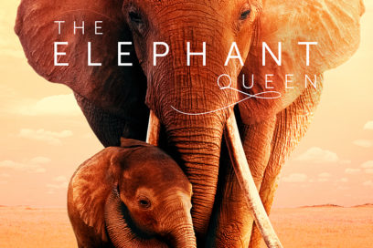 Apple_TV_The_Elephant_Queen