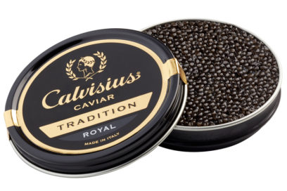 Calvisius-Tradition-Royal