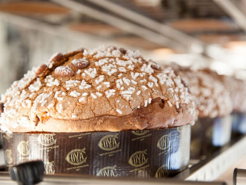 Panettoni artigianali Milano Natale 2019 dolce delle feste MOBILE
