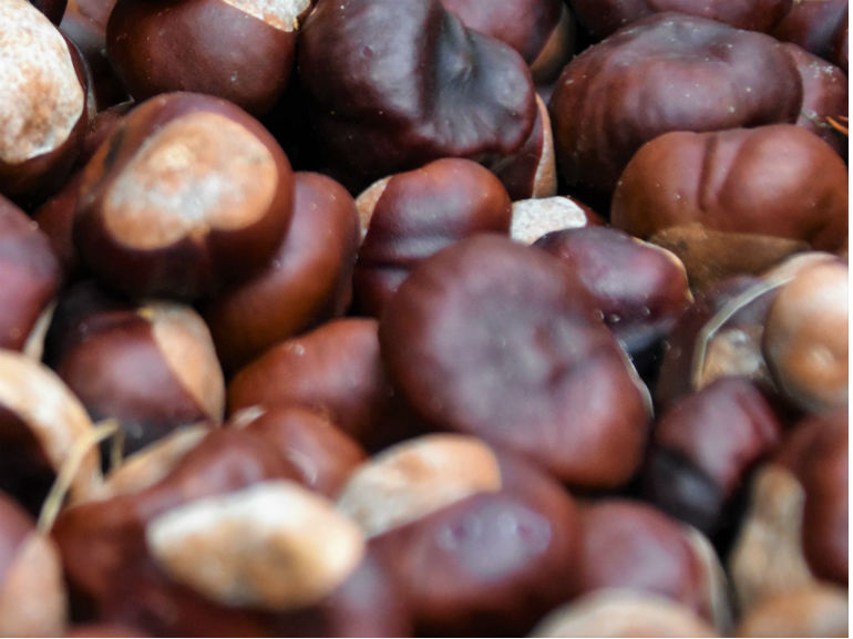 Le Castagne Sono Un Sostituto Dietetico Del Pane Ecco La Risposta