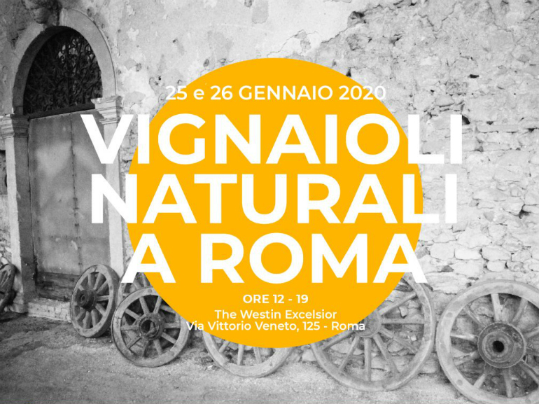 Vignaioli Naturali a roma westin excelsior