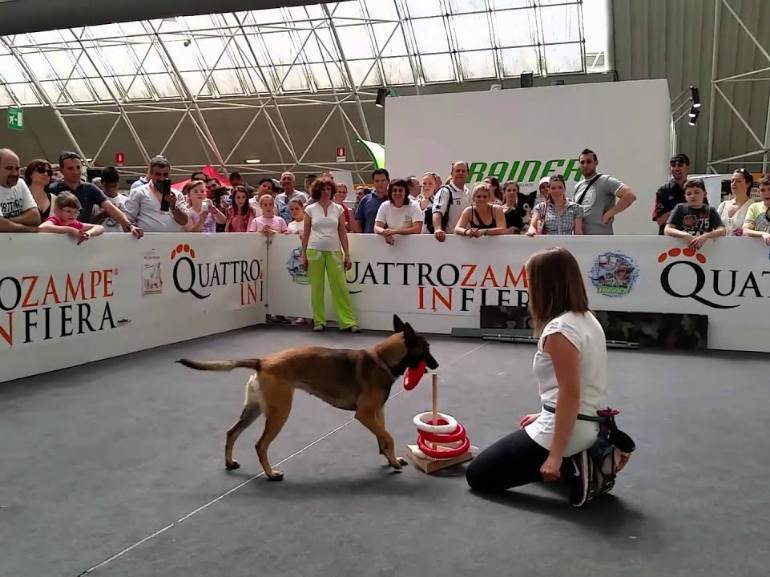 quattrozampeinfiera fiera di roma