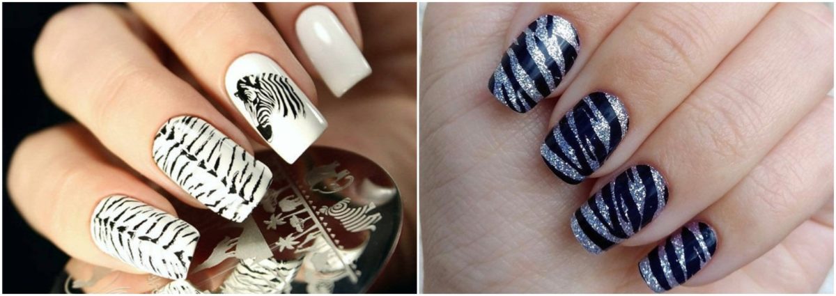 unghie zebrate zebra nail art cover desktop