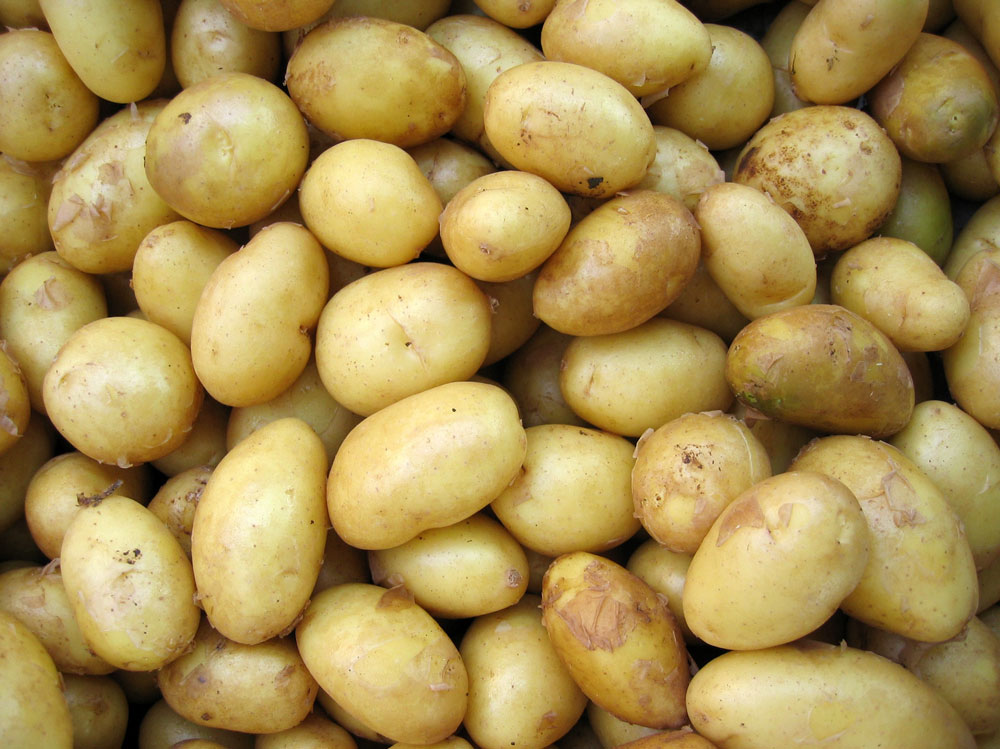 07-patate