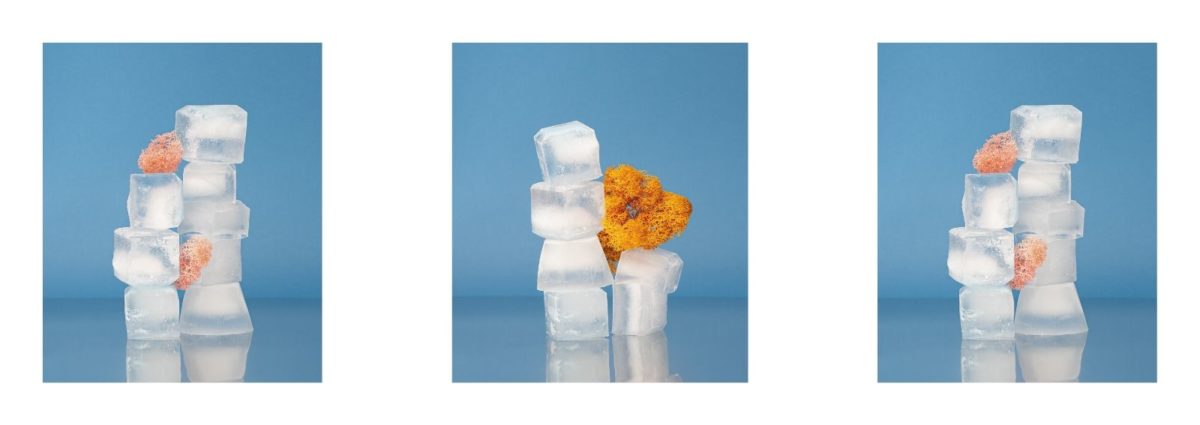 Progetto senza titolo