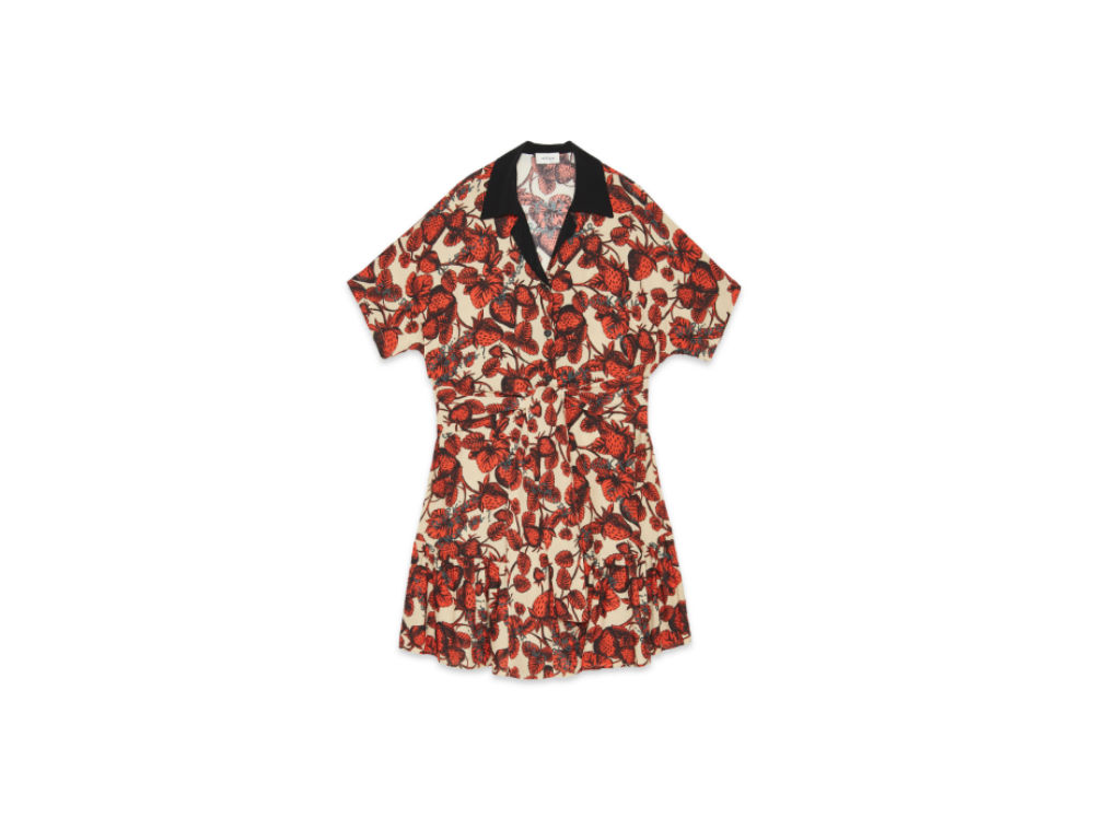 ottodame tuta botanica