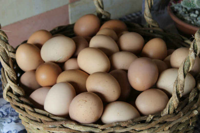 5 cibi che mangiavano le nonne e che ci farebbe un gran bene mangiare adesso
