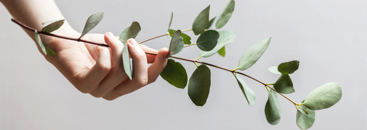 visore-abitudini-greenDESK