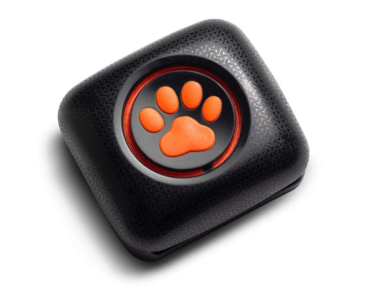 monitor cani
