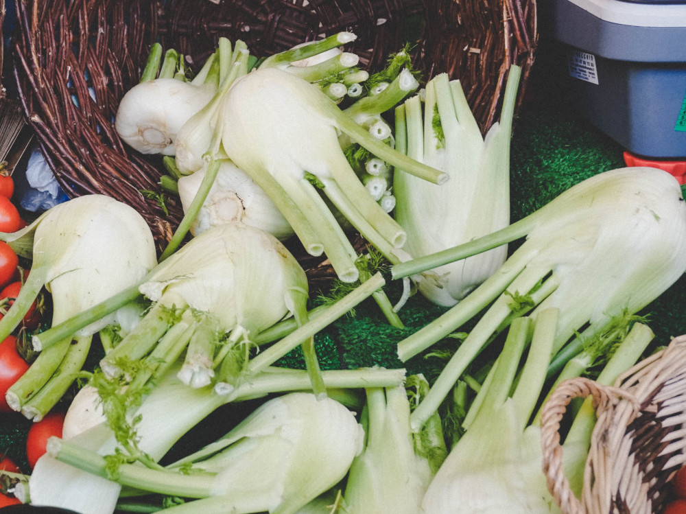 05-finocchi