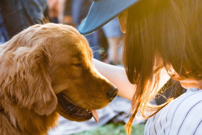 Ecco come i cani ci allungano la vita (e ci fanno vivere più in salute)