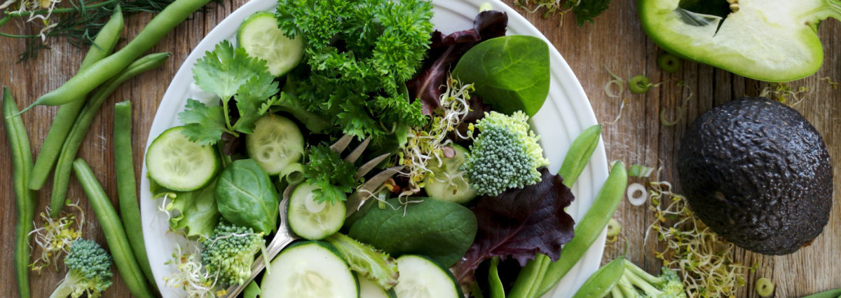 visore-dieta-dukeDESK