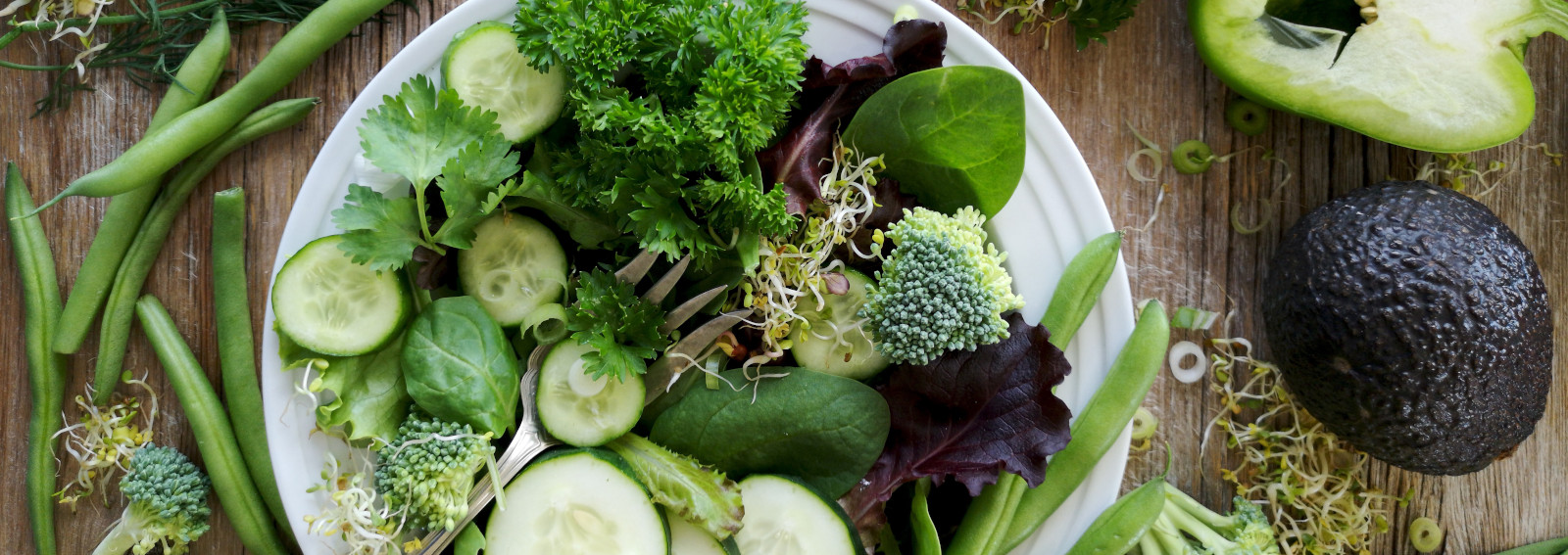 visore-dieta-dukeDESK